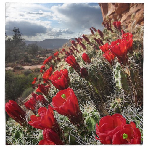 Wildflowers _ Grand Canyon _ Arizona Cloth Napkin