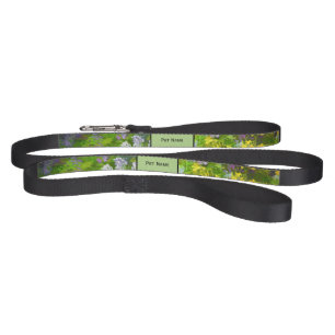 Wildflowers Impasto Painting - Original Flower Art Pet Leash