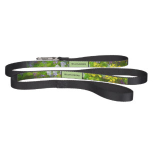 Wildflowers Impasto Painting - Original Flower Art Pet Leash