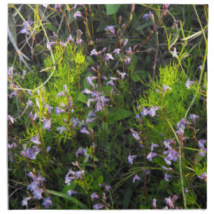 Wildflowers in a Field of Greens Napkin