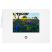 Wildflowers in Evening Light Cards (Back Horizontal)