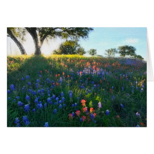 Wildflowers in Evening Light Cards (Front Horizontal)