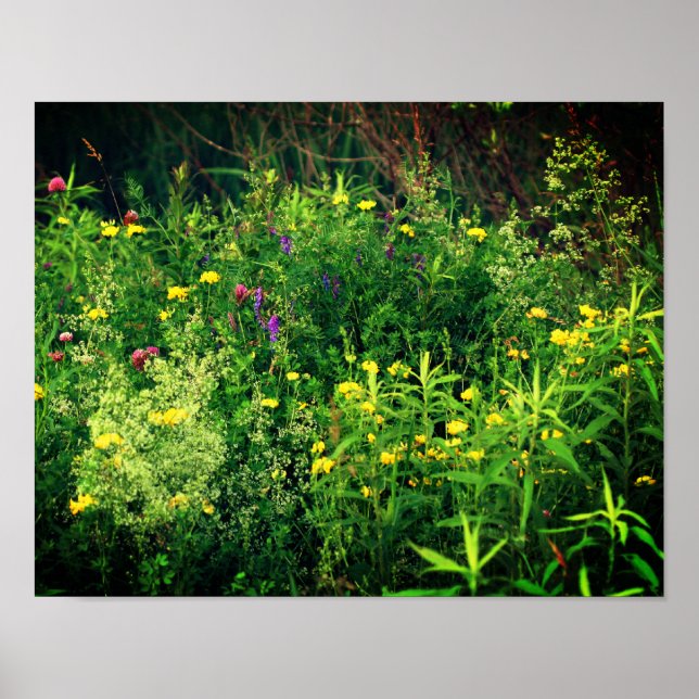 Wildflowers In Field Floral  Poster (Front)