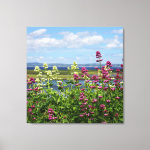 Wildflowers in Ireland Canvas Print