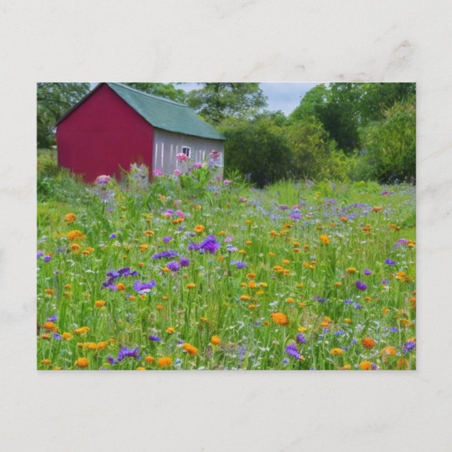 Wildflowers in the Country  Holiday Postcard (Front)