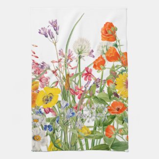 Wildflowers