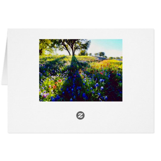 Wildflowers, Light, and Shadow (Back Horizontal)