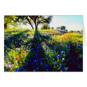 Wildflowers, Light, and Shadow (Front Horizontal)