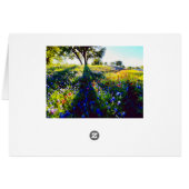 Wildflowers, Light, and Shadow Cards (Back Horizontal)