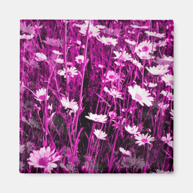 WILDFLOWERS MAGNET (Front)