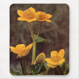 Wildflowers: Marsh Marigold Mouse Pad