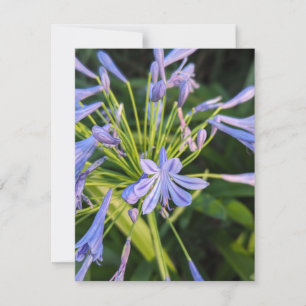 Wildflowers Note Card
