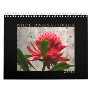 Wildflowers of Australia Calendar
