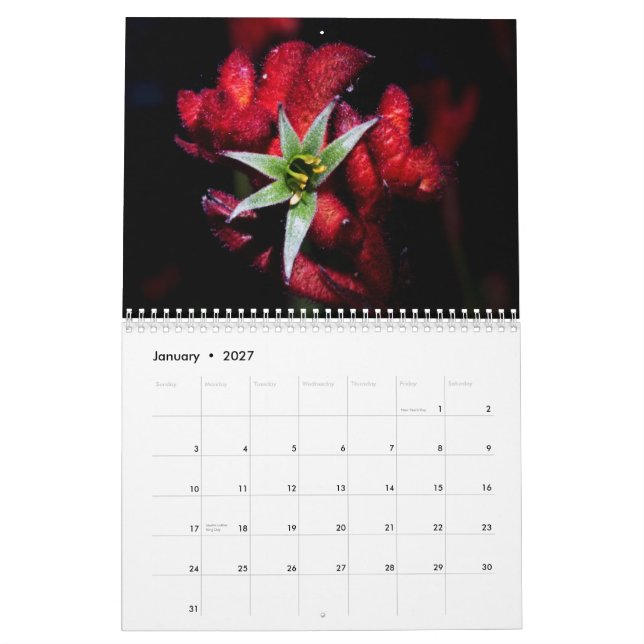 Wildflowers of Australia Calendar (Jan 2027)
