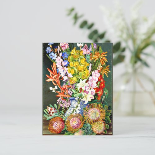 Wildflowers of Ceres South Africa Postcard