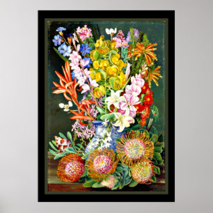 Wildflowers of Ceres, South Africa Poster