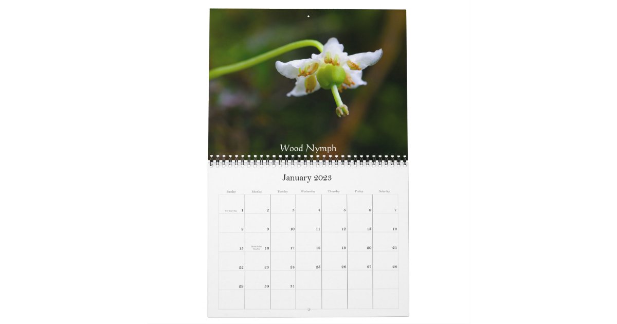 Wildflowers Of Crested Butte Calendar Zazzle