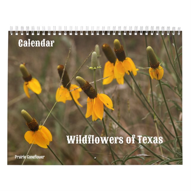 Wildflowers of Texas Calendar (Cover)