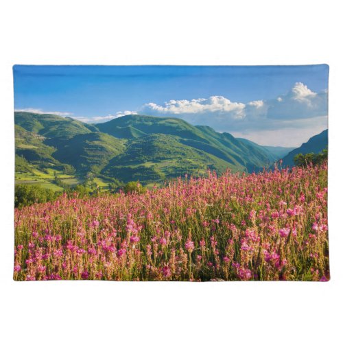 Wildflowers on Hillside  Preci Umbria Italy Cloth Placemat