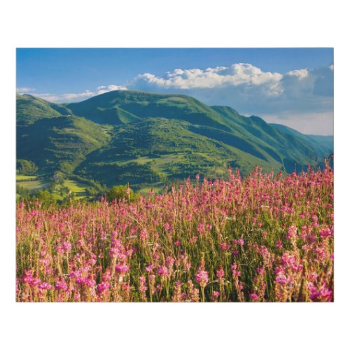 Wildflowers on Hillside  Preci Umbria Italy Faux Canvas Print