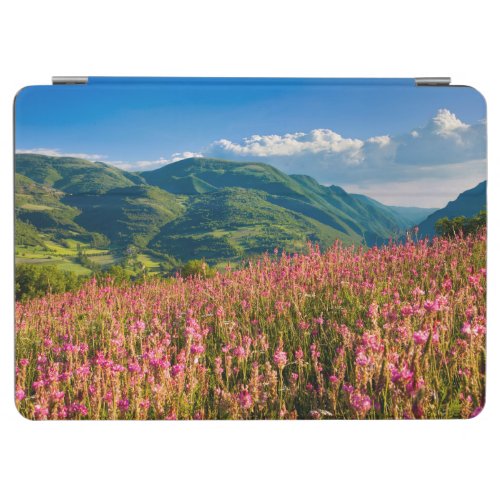 Wildflowers on Hillside  Preci Umbria Italy iPad Air Cover