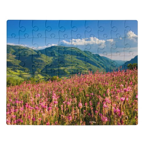 Wildflowers on Hillside  Preci Umbria Italy Jigsaw Puzzle