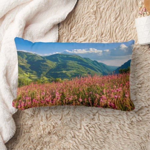 Wildflowers on Hillside  Preci Umbria Italy Lumbar Pillow