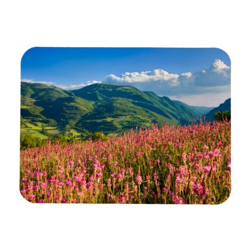 Wildflowers on Hillside  Preci Umbria Italy Magnet