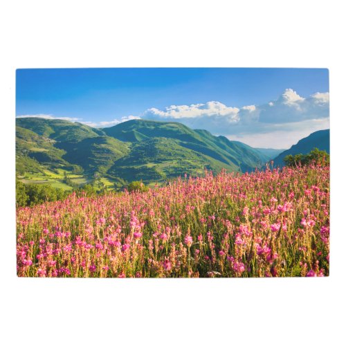 Wildflowers on Hillside  Preci Umbria Italy Metal Print