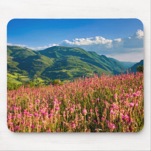 Wildflowers on Hillside  Preci Umbria Italy Mouse Pad