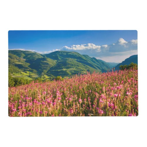 Wildflowers on Hillside  Preci Umbria Italy Placemat