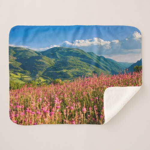 Wildflowers on Hillside  Preci Umbria Italy Sherpa Blanket
