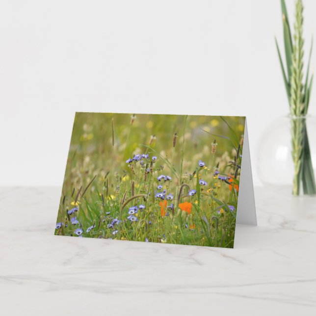 Wildflowers Photo - Blank Card (Front)
