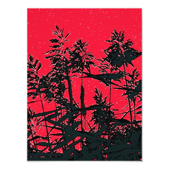 WILDFLOWERS PHOTO PRINT (Front)