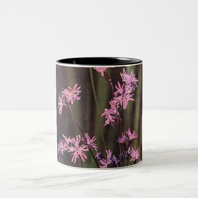 Wildflowers Pink Floral Ragged Robin Two-Tone Coffee Mug (Center)