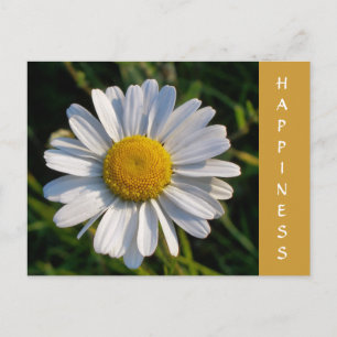 WILDFLOWERS POSTCARD