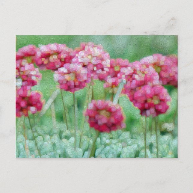 Wildflowers  postcard (Front)
