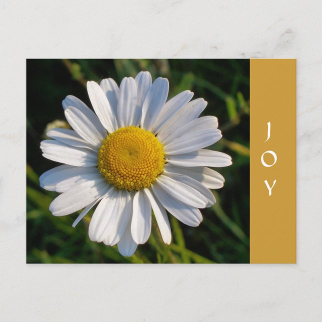 WILDFLOWERS POSTCARD (Front)
