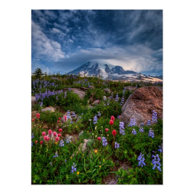 Wildflowers Poster (Front)