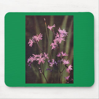 Wildflowers: Ragged Robin Mouse Pad