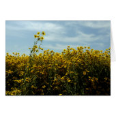 Wildflowers Sunflowers (Front Horizontal)