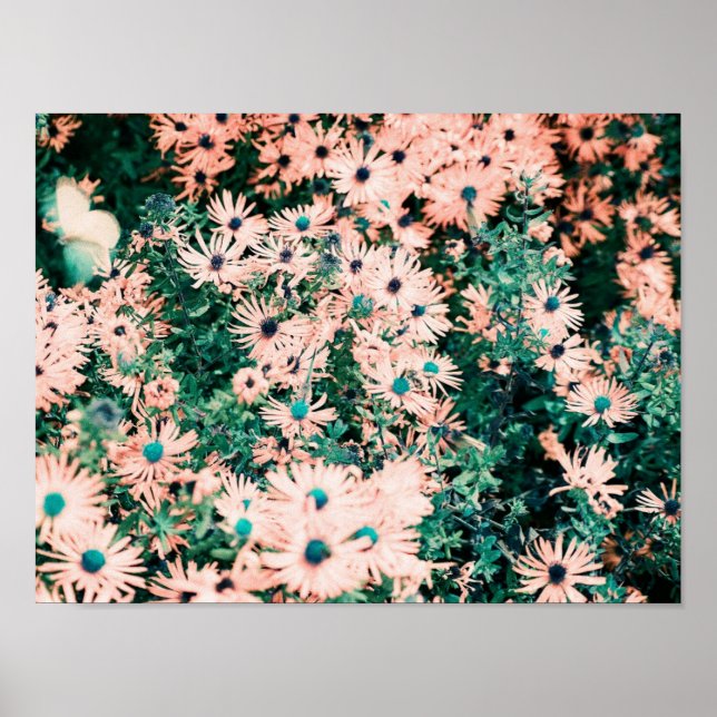 Wildflowers Unique Colors Poster (Front)