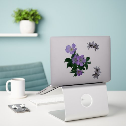 Wildflowers Wild Geraniums and spring beauties Sticker