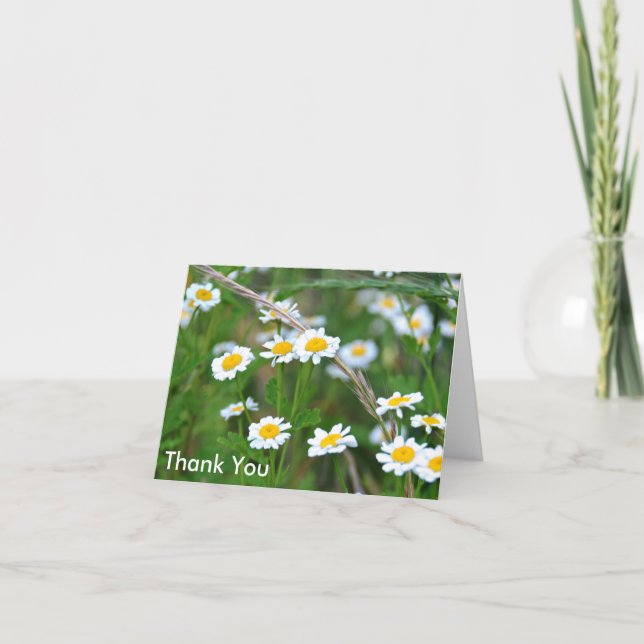 Wildflowers with Daisies, Thank You (Front)