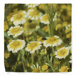 Wildflowers Yellow and White Sunflowers Bandana