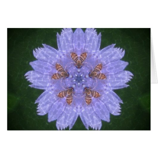 Wildfowers With Bees Cards (Front Horizontal)