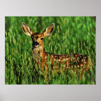 Wildlife 11 bumped poster