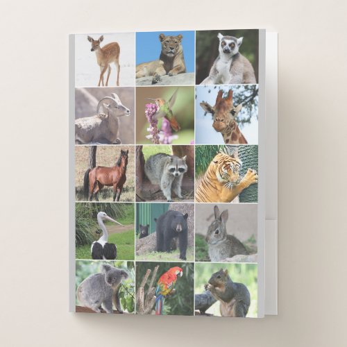 Wildlife 15 Animals in the Wild Collage Pocket Folder