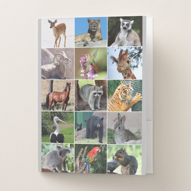 Wildlife 15 Animals in the Wild Collage Pocket Folder (Front)