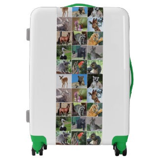 Wildlife 15 Animals Pictured in the Wild Luggage